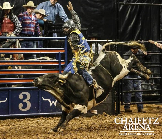rodeo fb bull