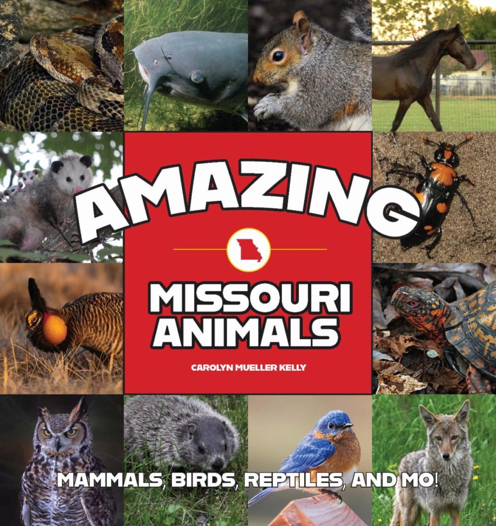 UNCOVER THE SHOW ME STATE’S HIDDEN CREATURES AND CRITTERS IN AMAZING ...